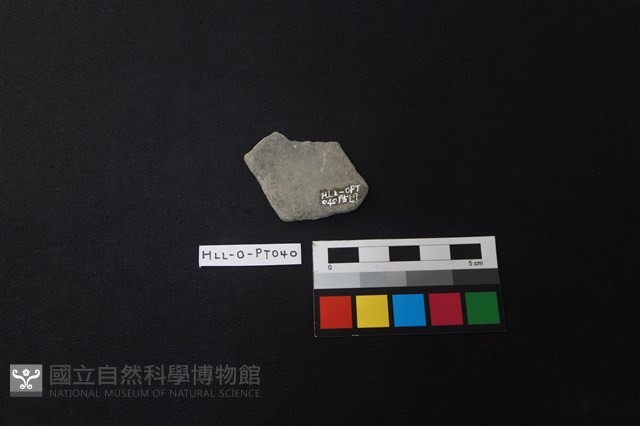 陶片藏品圖，第2張