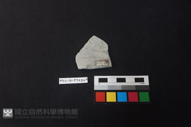 陶片藏品圖，第2張