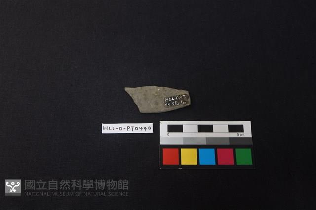 陶片藏品圖，第2張