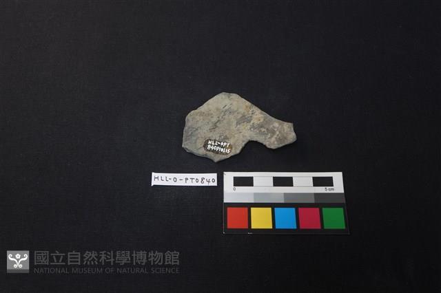 陶片藏品圖，第2張