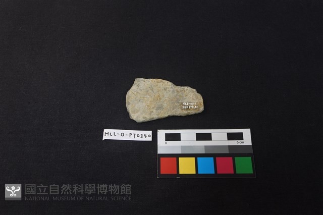 陶片藏品圖，第2張