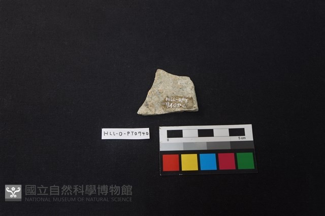陶片藏品圖，第2張