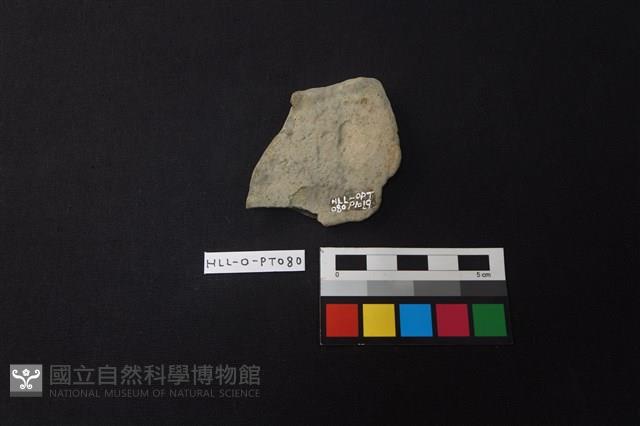 陶片藏品圖，第2張