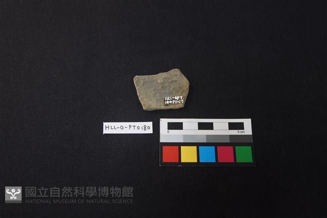 陶片藏品圖，第2張