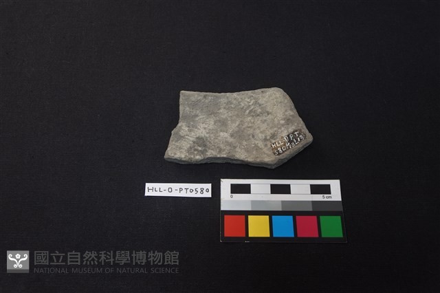 陶片藏品圖，第2張