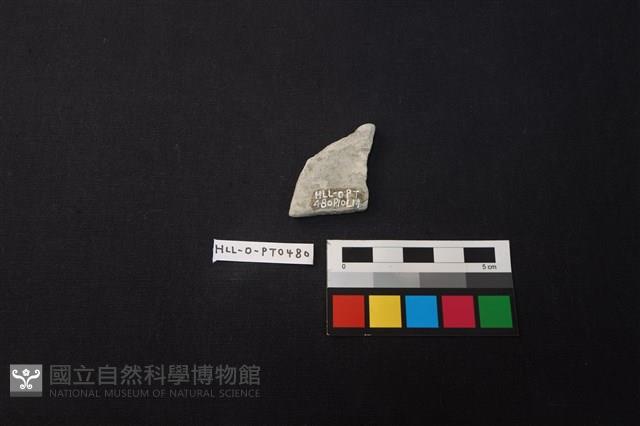 陶片藏品圖，第2張