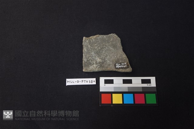 陶片藏品圖，第2張