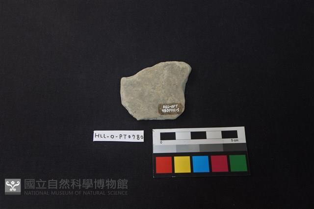 陶片藏品圖，第2張