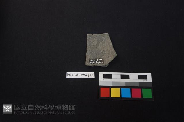 陶片藏品圖，第2張