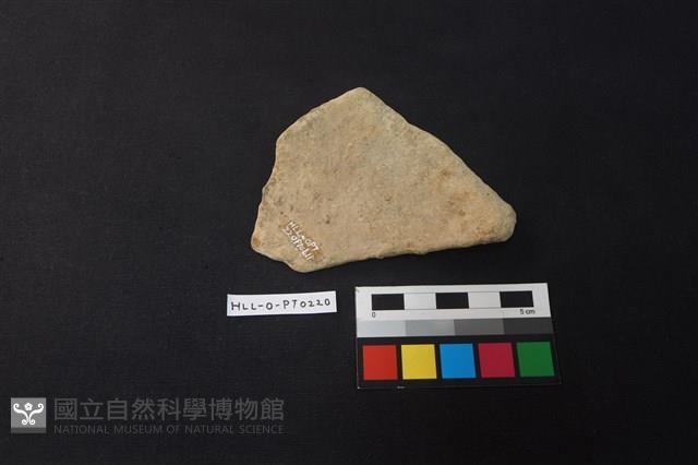 陶片藏品圖，第2張