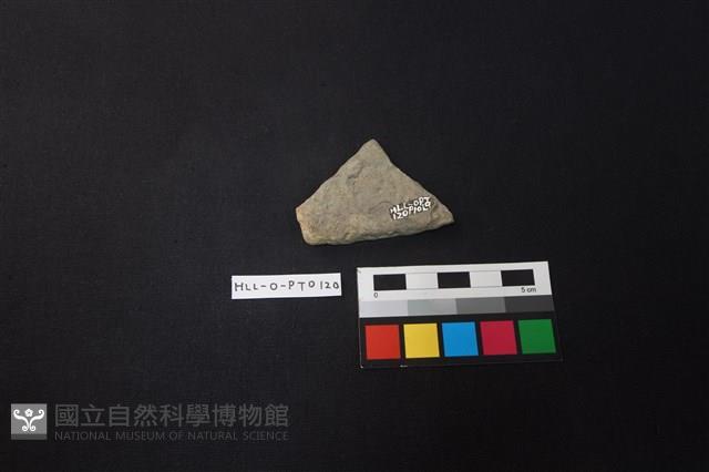 陶片藏品圖，第2張