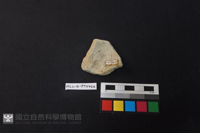 陶片藏品圖，第2張