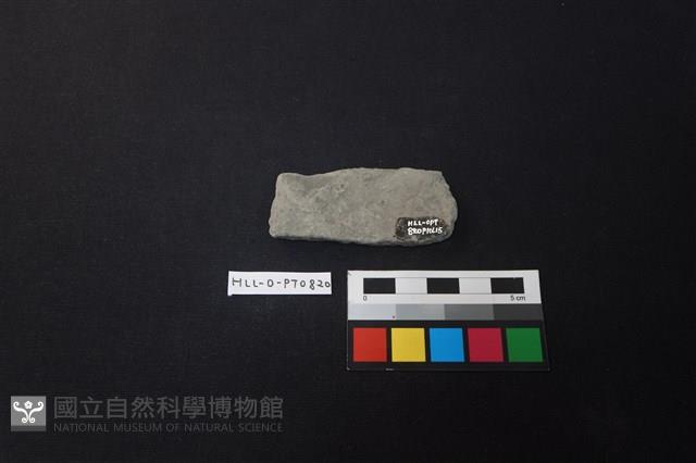 陶片藏品圖，第2張