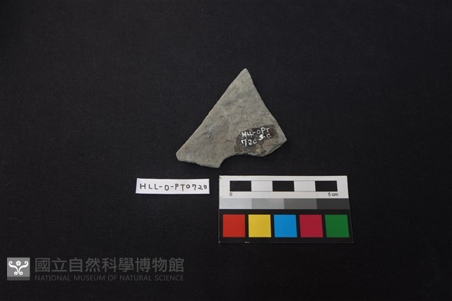 陶片藏品圖，第2張