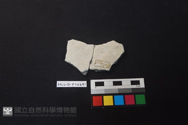 陶片藏品圖，第2張