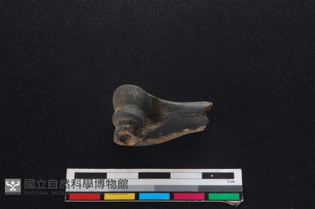 山羌骨藏品圖，第2張