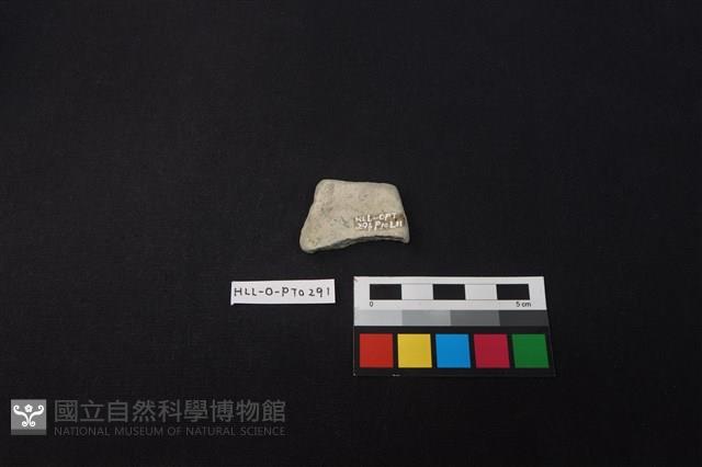 陶片藏品圖，第2張