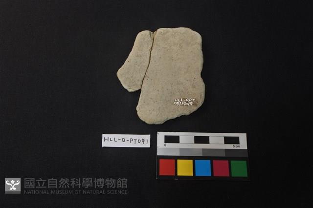 陶片藏品圖，第2張