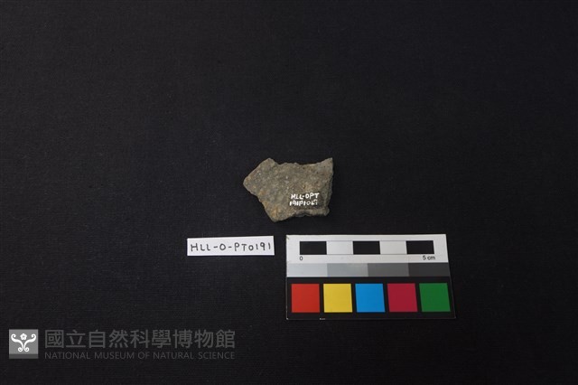 陶片藏品圖，第2張