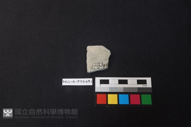 陶片藏品圖，第2張