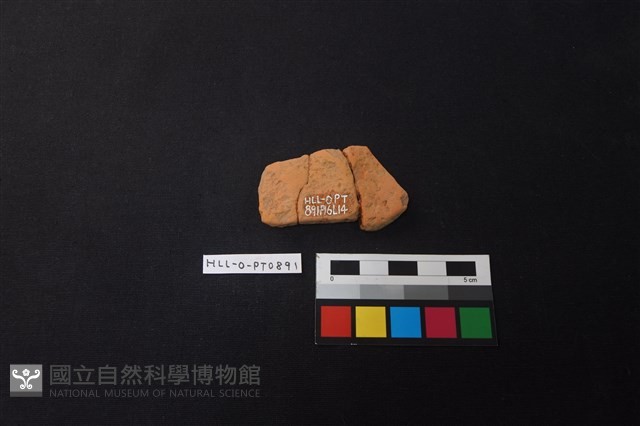 陶片藏品圖，第2張