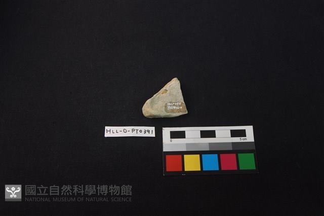 陶片藏品圖，第2張