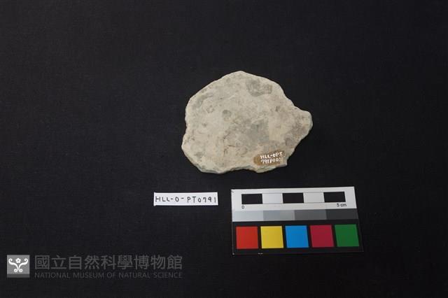 陶片藏品圖，第2張