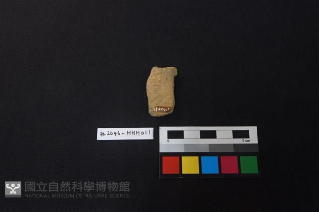 陶片藏品圖，第2張