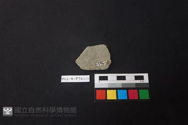 陶片藏品圖，第2張