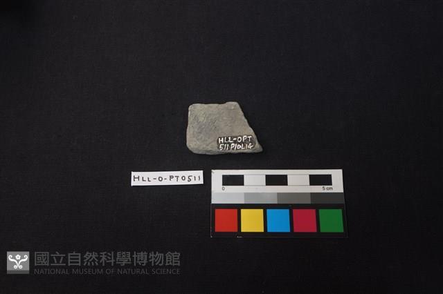 陶片藏品圖，第2張