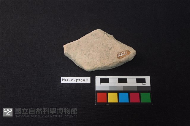 陶片藏品圖，第2張