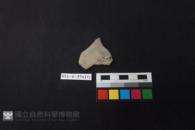 陶片藏品圖，第2張