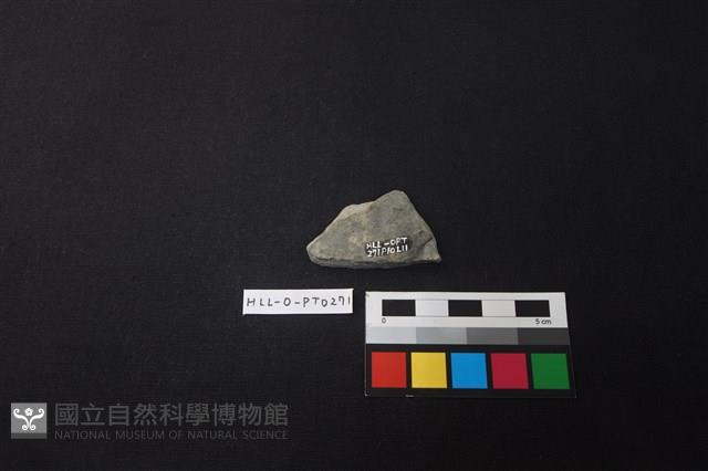 陶片藏品圖，第2張