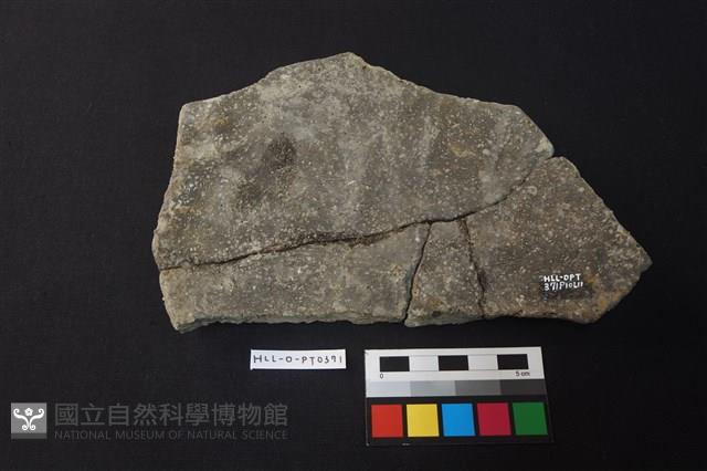 陶片藏品圖，第2張