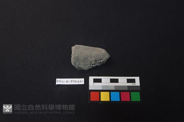 陶片藏品圖，第2張