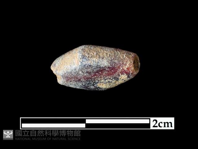 玻璃珠藏品圖，第2張