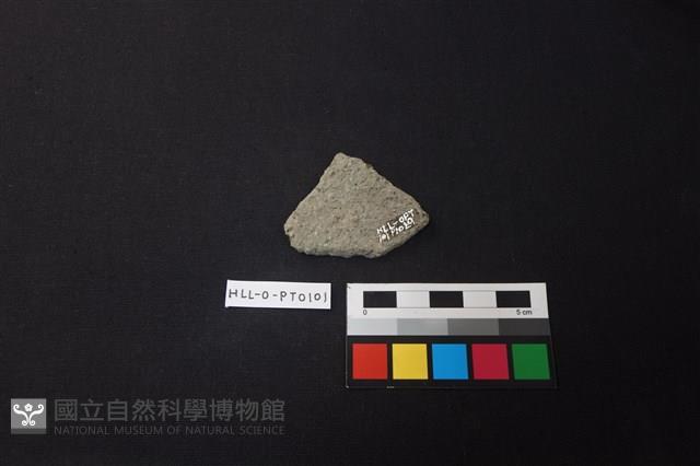 陶片藏品圖，第2張