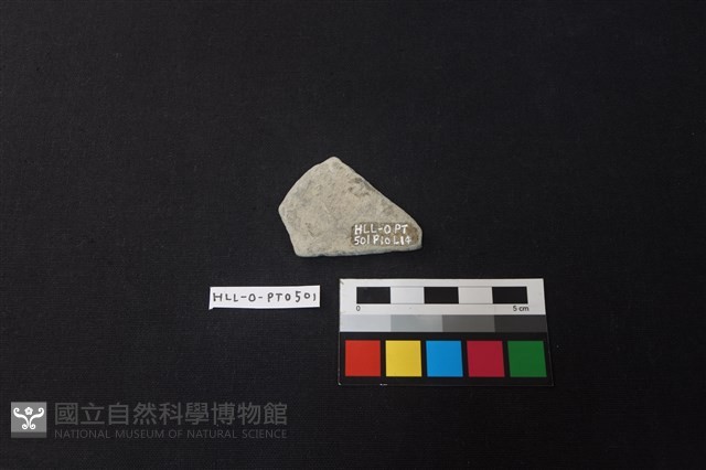陶片藏品圖，第2張