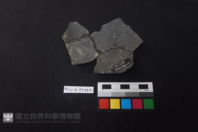 陶片藏品圖，第2張