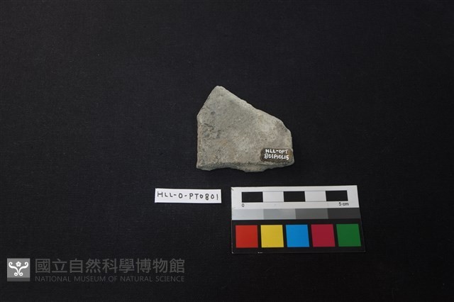陶片藏品圖，第2張