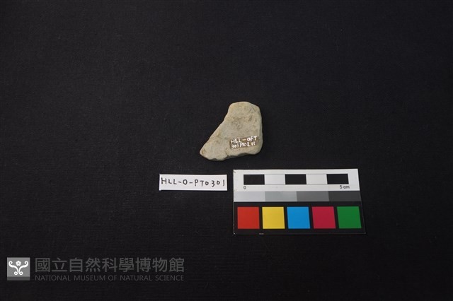 陶片藏品圖，第2張
