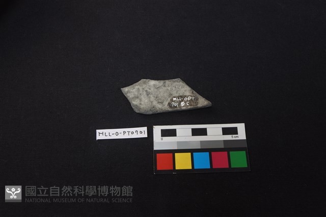 陶片藏品圖，第2張