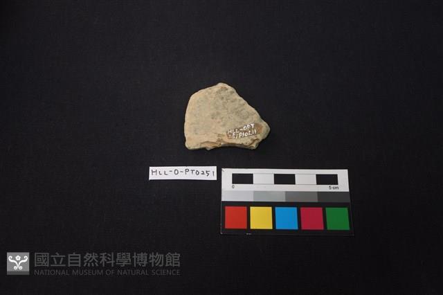 陶片藏品圖，第2張