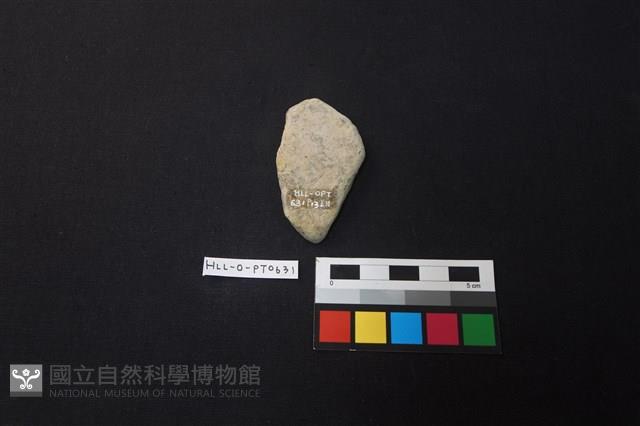 陶片藏品圖，第2張