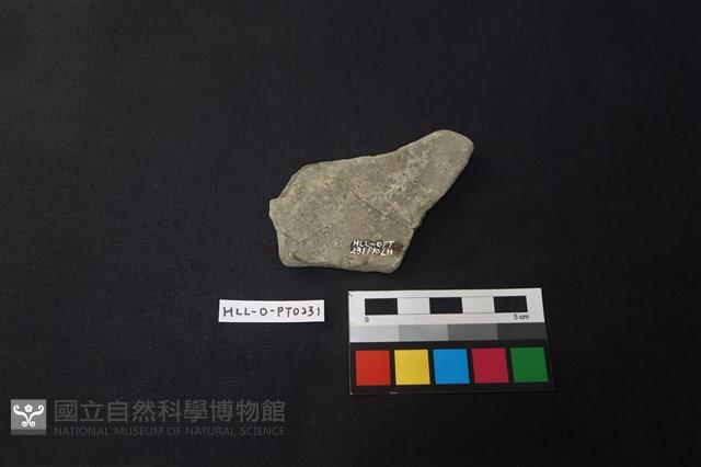 陶片藏品圖，第2張