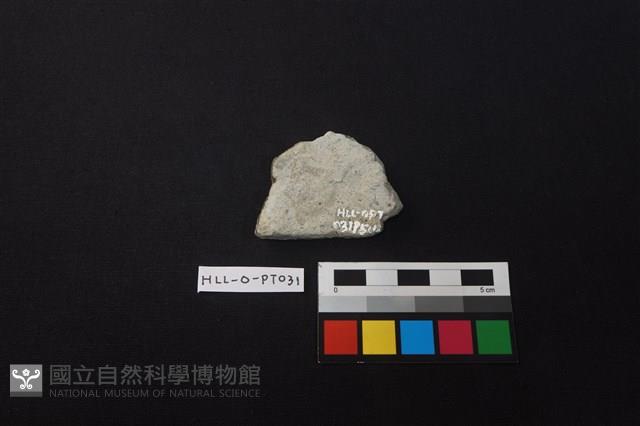 陶片藏品圖，第2張