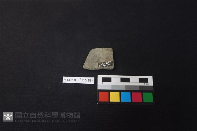 陶片藏品圖，第2張