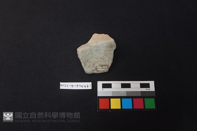 陶片藏品圖，第2張