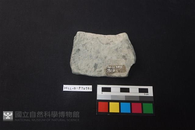 陶片藏品圖，第2張