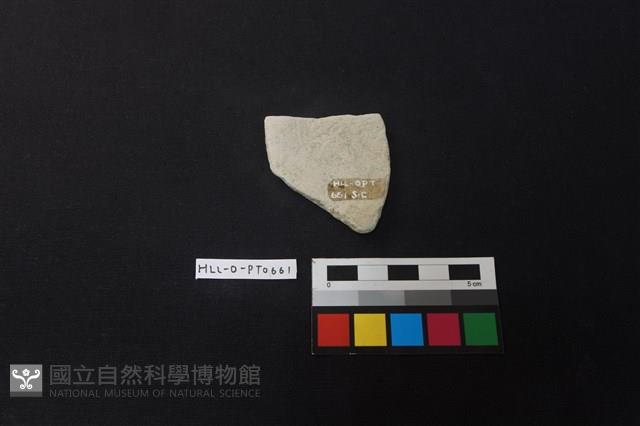 陶片藏品圖，第2張